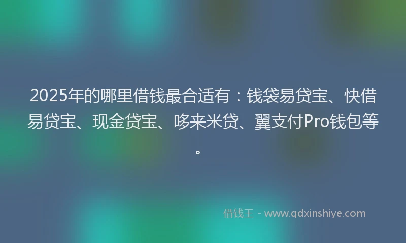 2025年的哪里借钱最合适有：钱袋易贷宝、快借易贷宝、现金贷宝、哆来米贷、翼支付Pro钱包等。
