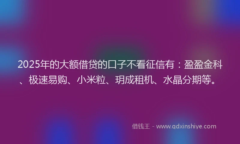 2025年的大额借贷的口子不看征信有：盈盈金科、极速易购、小米粒、玥成租机、水晶分期等。
