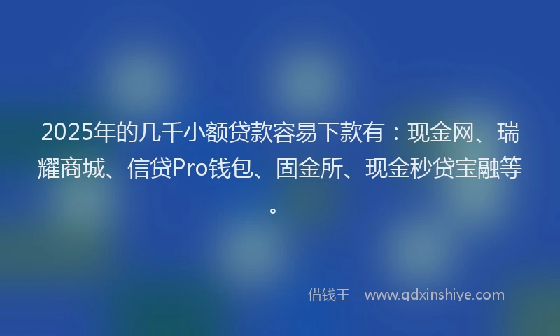 2025年的几千小额贷款容易下款有：现金网、瑞耀商城、信贷Pro钱包、固金所、现金秒贷宝融等。