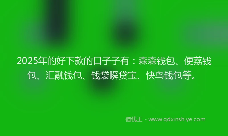 2025年的好下款的口子子有：森森钱包、便荔钱包、汇融钱包、钱袋瞬贷宝、快鸟钱包等。
