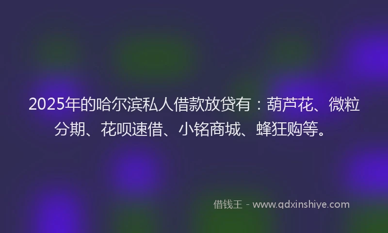 2025年的哈尔滨私人借款放贷有：葫芦花、微粒分期、花呗速借、小铭商城、蜂狂购等。