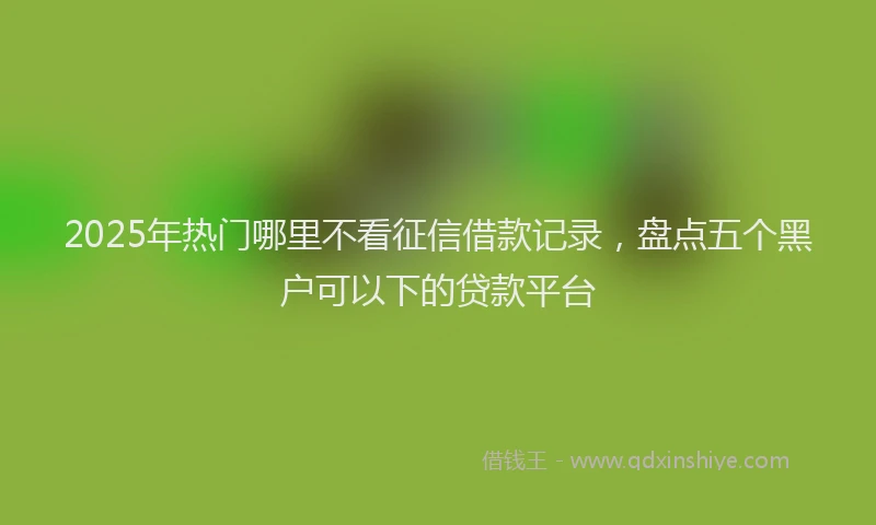 2025年热门哪里不看征信借款记录，盘点五个黑户可以下的贷款平台