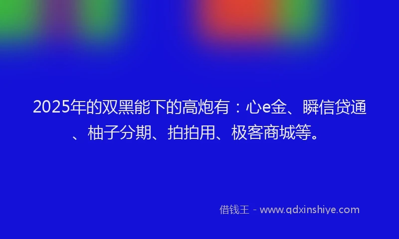 2025年的双黑能下的高炮有：心e金、瞬信贷通、柚子分期、拍拍用、极客商城等。