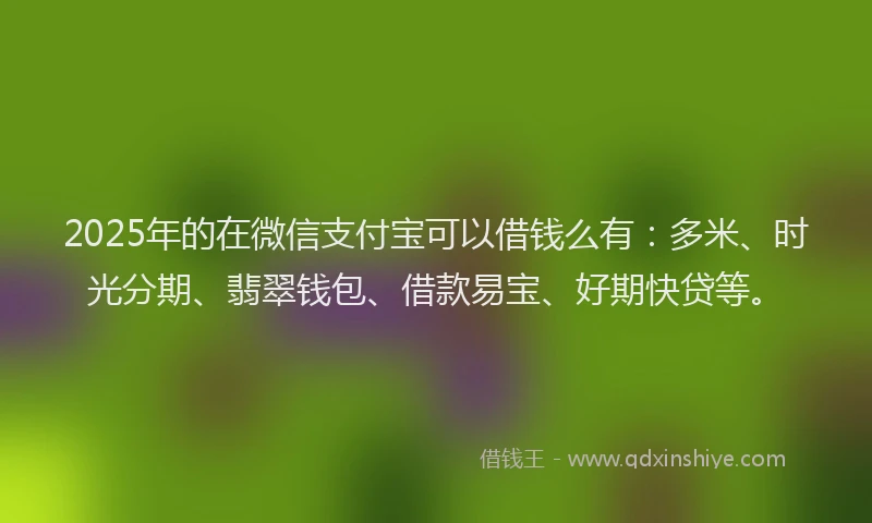 2025年的在微信支付宝可以借钱么有：多米、时光分期、翡翠钱包、借款易宝、好期快贷等。