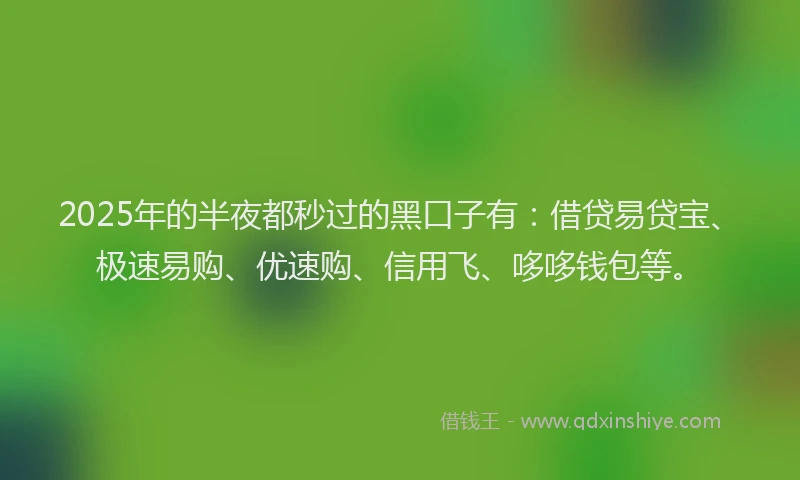 2025年的半夜都秒过的黑口子有：借贷易贷宝、极速易购、优速购、信用飞、哆哆钱包等。