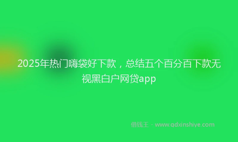 2025年热门嗨袋好下款，总结五个百分百下款无视黑白户网贷app
