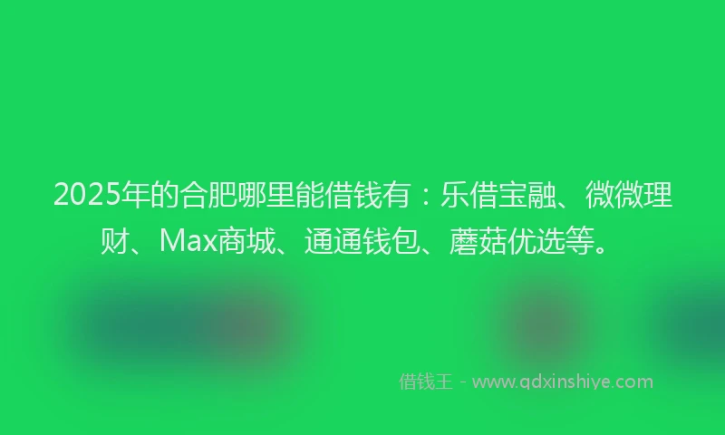 2025年的合肥哪里能借钱有：乐借宝融、微微理财、Max商城、通通钱包、蘑菇优选等。