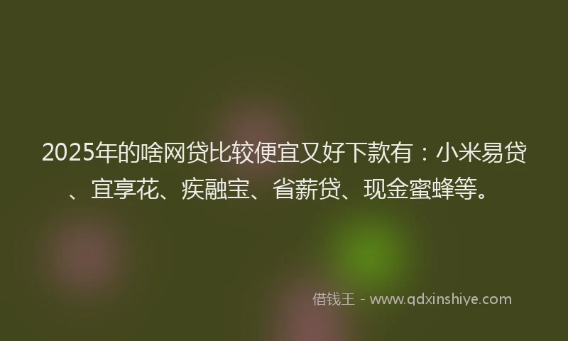 2025年的啥网贷比较便宜又好下款有：小米易贷、宜享花、疾融宝、省薪贷、现金蜜蜂等。