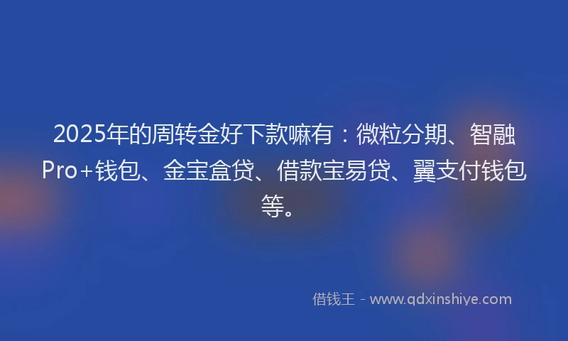2025年的周转金好下款嘛有：微粒分期、智融Pro+钱包、金宝盒贷、借款宝易贷、翼支付钱包等。