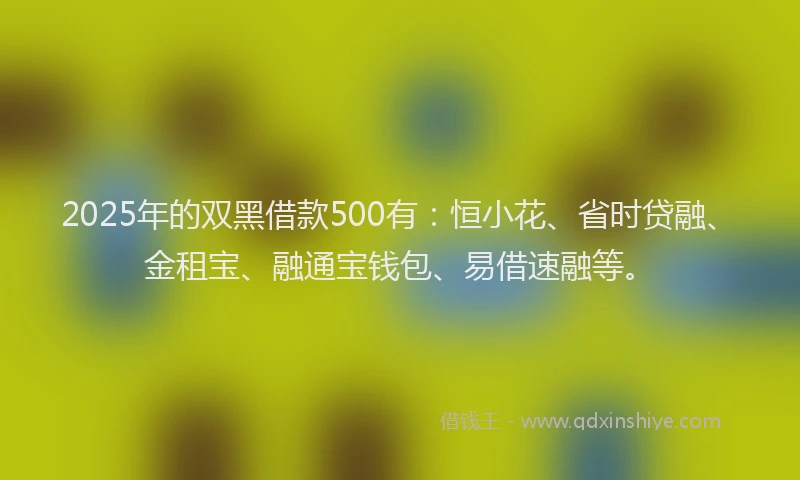 2025年的双黑借款500有：恒小花、省时贷融、金租宝、融通宝钱包、易借速融等。