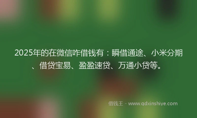 2025年的在微信咋借钱有：瞬借通途、小米分期、借贷宝易、盈盈速贷、万通小贷等。