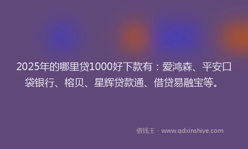 2025年的哪里贷1000好下款有：爱鸿森、平安口袋银行、榕贝、星辉贷款通、借贷易融宝等。