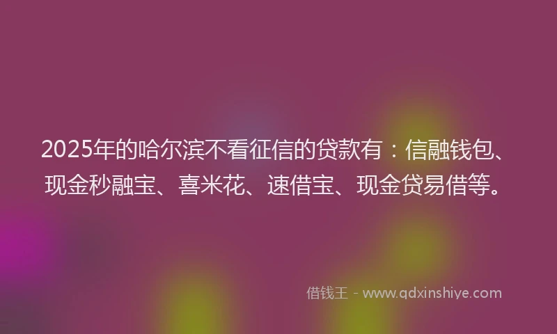 2025年的哈尔滨不看征信的贷款有：信融钱包、现金秒融宝、喜米花、速借宝、现金贷易借等。