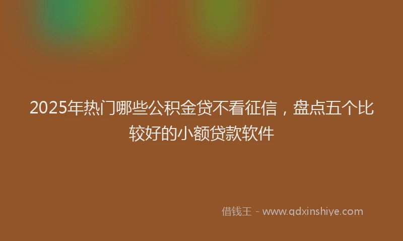 2025年热门哪些公积金贷不看征信，盘点五个比较好的小额贷款软件