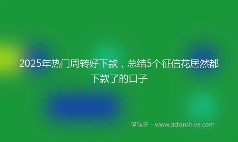 2025年热门周转好下款，总结5个征信花居然都下款了的口子