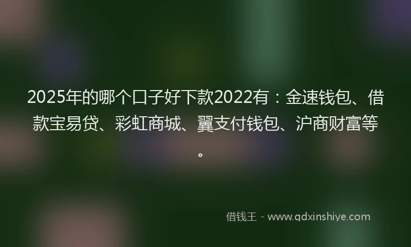 2025年的哪个口子好下款2022有：金速钱包、借款宝易贷、彩虹商城、翼支付钱包、沪商财富等。