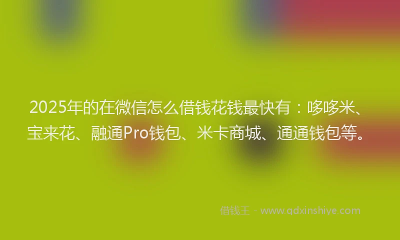 2025年的在微信怎么借钱花钱最快有：哆哆米、宝来花、融通Pro钱包、米卡商城、通通钱包等。