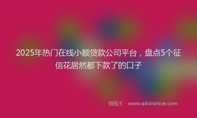 2025年热门在线小额贷款公司平台，盘点5个征信花居然都下款了的口子