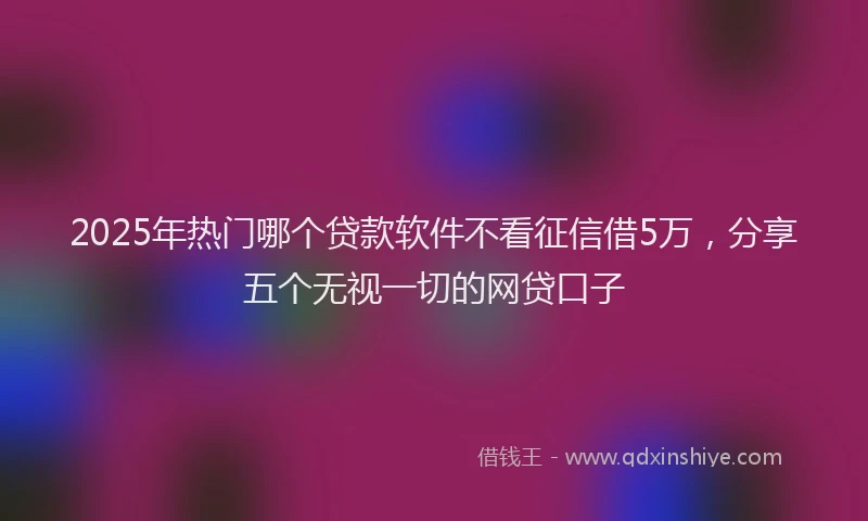 2025年热门哪个贷款软件不看征信借5万，分享五个无视一切的网贷口子