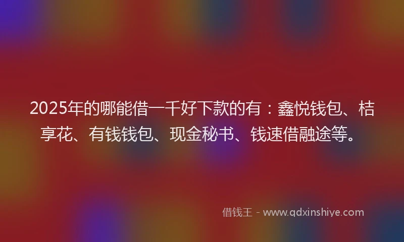 2025年的哪能借一千好下款的有：鑫悦钱包、桔享花、有钱钱包、现金秘书、钱速借融途等。