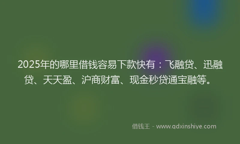 2025年的哪里借钱容易下款快有：飞融贷、迅融贷、天天盈、沪商财富、现金秒贷通宝融等。