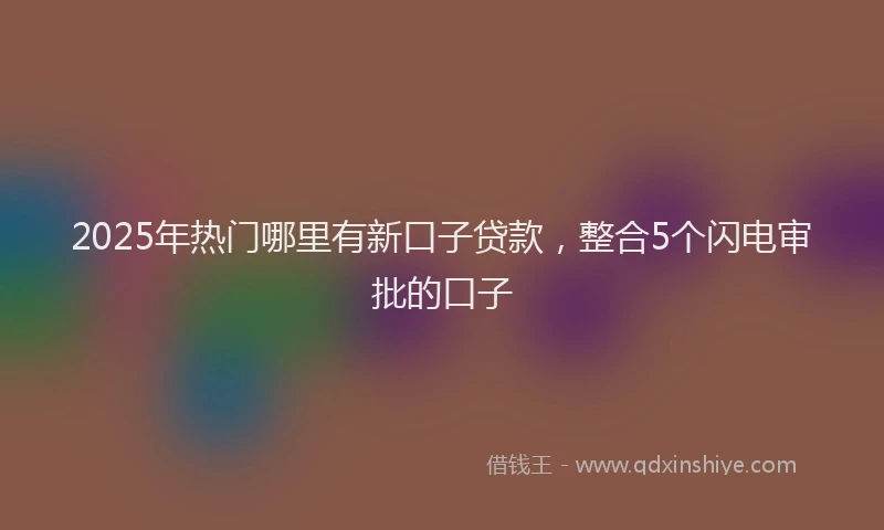 2025年热门哪里有新口子贷款，整合5个闪电审批的口子