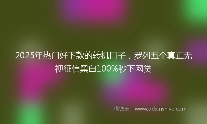 2025年热门好下款的转机口子，罗列五个真正无视征信黑白100%秒下网贷