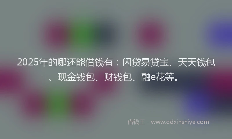 2025年的哪还能借钱有:闪贷易贷宝、天天钱包、现金钱包、财钱包、融e花等。