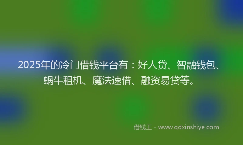 2025年的冷门借钱平台有：好人贷、智融钱包、蜗牛租机、魔法速借、融资易贷等。