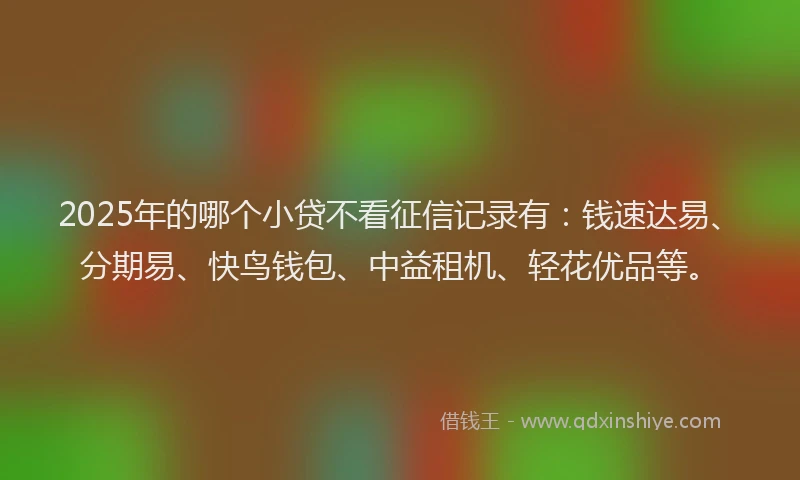 2025年的哪个小贷不看征信记录有：钱速达易、分期易、快鸟钱包、中益租机、轻花优品等。