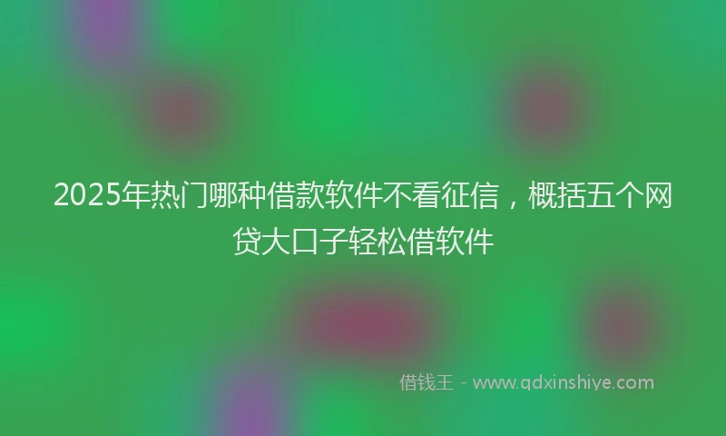 2025年热门哪种借款软件不看征信，概括五个网贷大口子轻松借软件