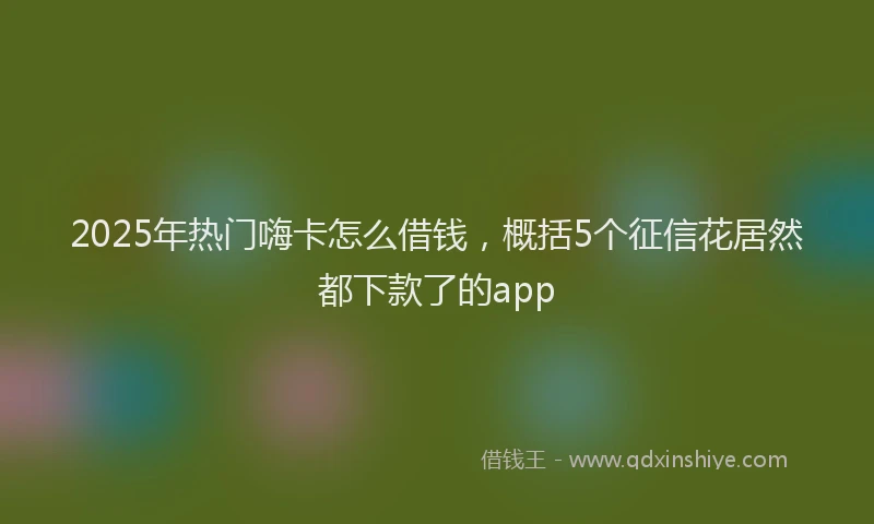 2025年热门嗨卡怎么借钱，概括5个征信花居然都下款了的app