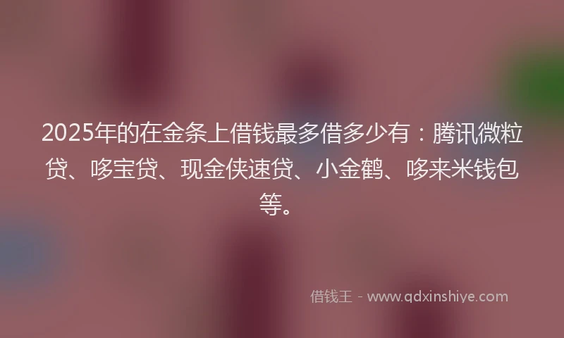 2025年的在金条上借钱最多借多少有：腾讯微粒贷、哆宝贷、现金侠速贷、小金鹤、哆来米钱包等。