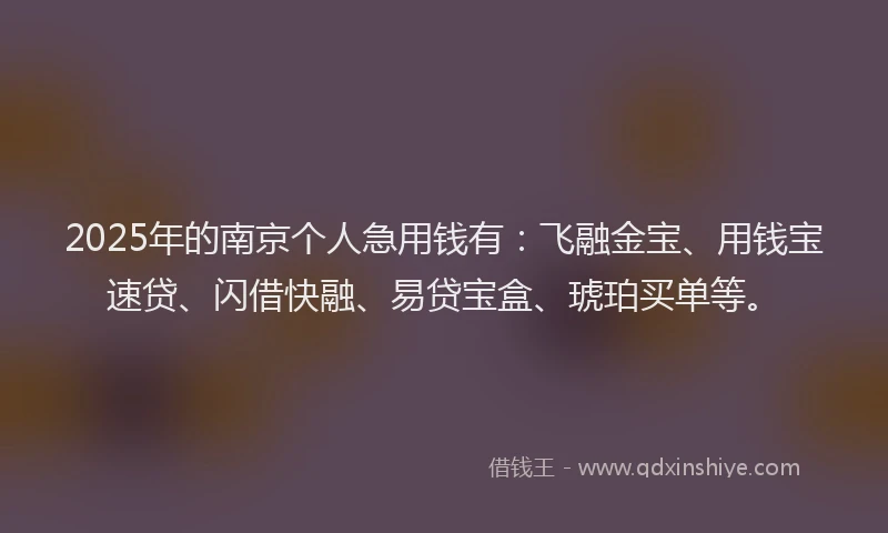 2025年的南京个人急用钱有：飞融金宝、用钱宝速贷、闪借快融、易贷宝盒、琥珀买单等。