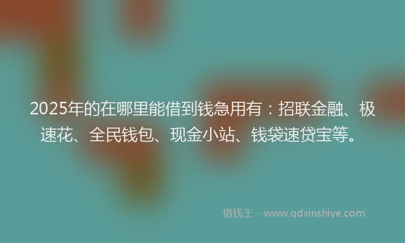 2025年的在哪里能借到钱急用有：招联金融、极速花、全民钱包、现金小站、钱袋速贷宝等。
