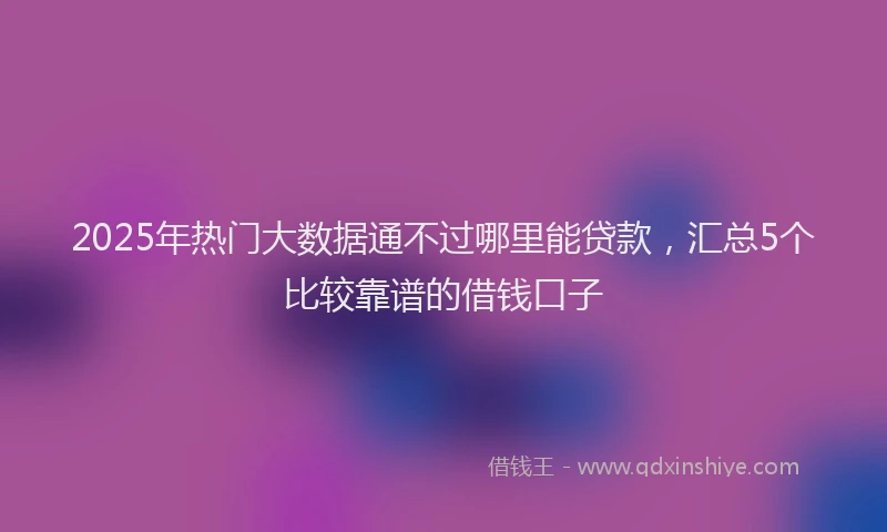 2025年热门大数据通不过哪里能贷款，汇总5个比较靠谱的借钱口子