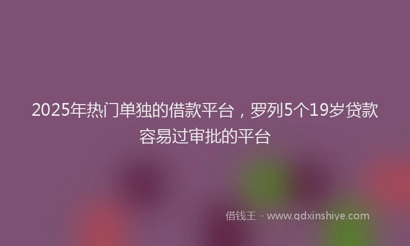 2025年热门单独的借款平台，罗列5个19岁贷款容易过审批的平台
