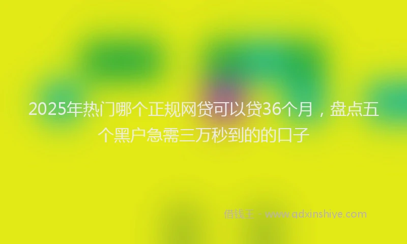2025年热门哪个正规网贷可以贷36个月，盘点五个黑户急需三万秒到的的口子