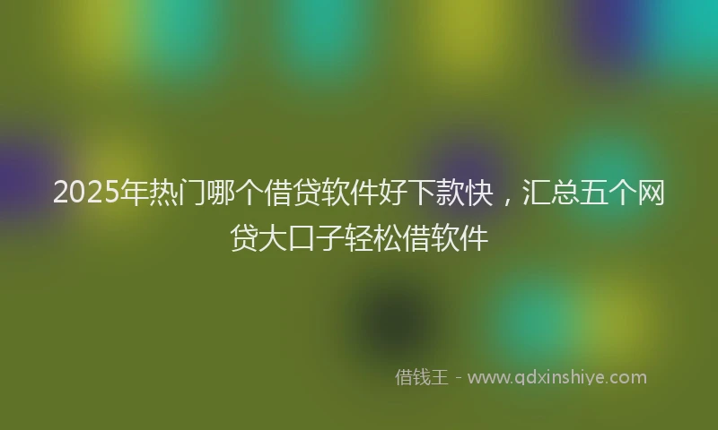 2025年热门哪个借贷软件好下款快，汇总五个网贷大口子轻松借软件