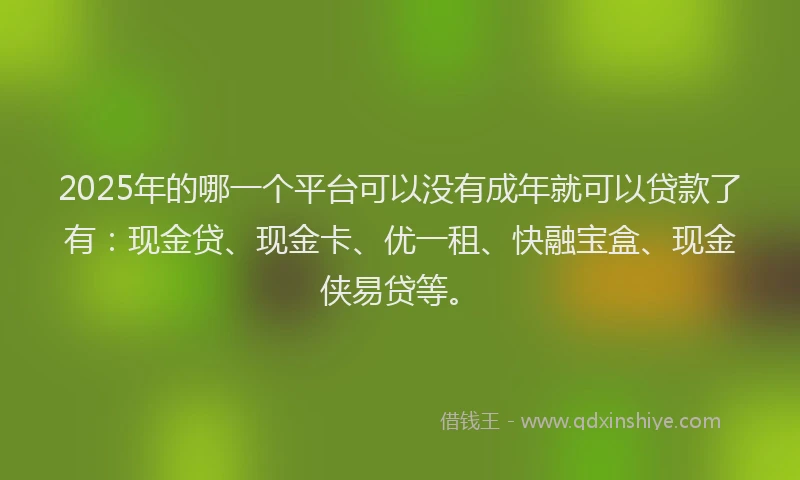 2025年的哪一个平台可以没有成年就可以贷款了有：现金贷、现金卡、优一租、快融宝盒、现金侠易贷等。