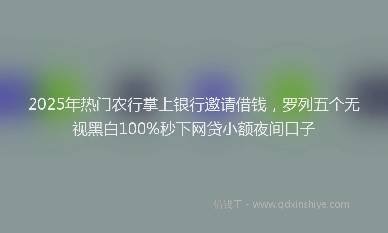 2025年热门农行掌上银行邀请借钱，罗列五个无视黑白100%秒下网贷小额夜间口子