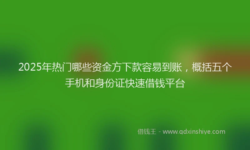 2025年热门哪些资金方下款容易到账，概括五个手机和身份证快速借钱平台