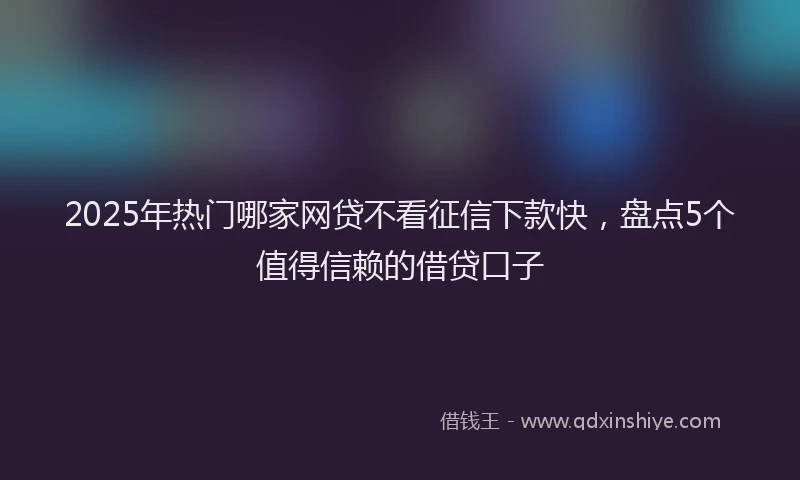 2025年热门哪家网贷不看征信下款快，盘点5个值得信赖的借贷口子