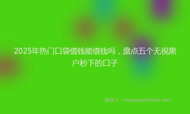 2025年热门口袋借钱能借钱吗，盘点五个无视黑户秒下的口子