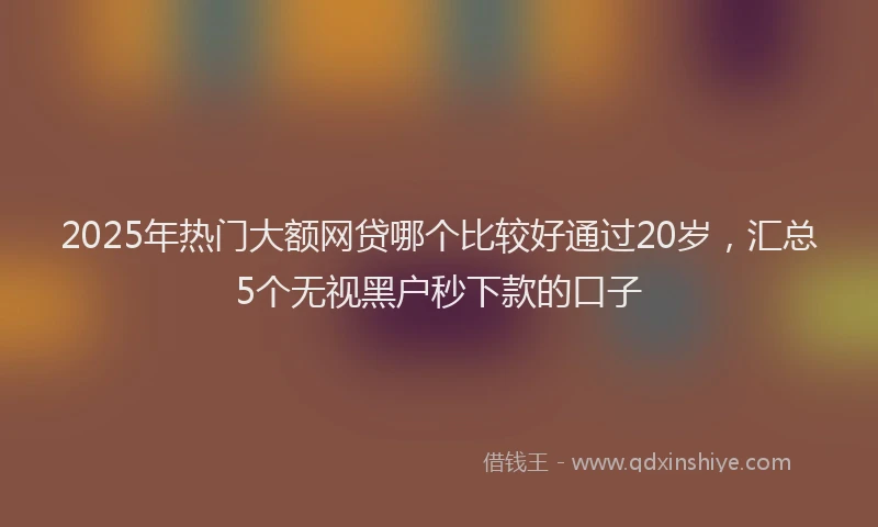 2025年热门大额网贷哪个比较好通过20岁，汇总5个无视黑户秒下款的口子