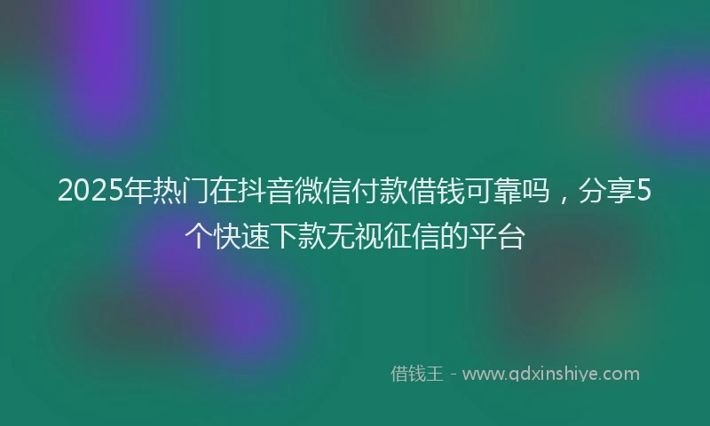 2025年热门在抖音微信付款借钱可靠吗，分享5个快速下款无视征信的平台