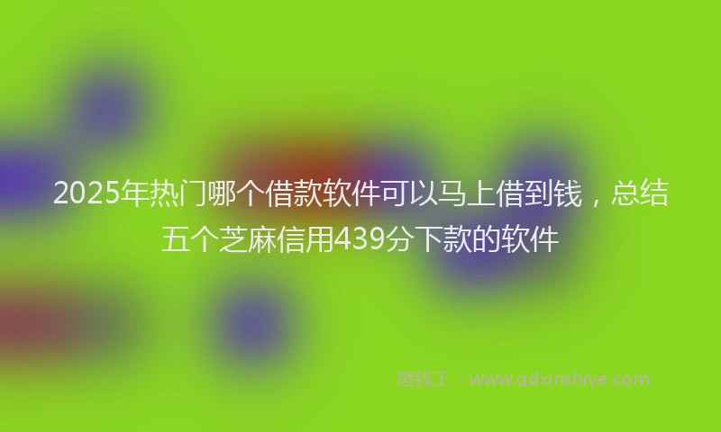 2025年热门哪个借款软件可以马上借到钱，总结五个芝麻信用439分下款的软件