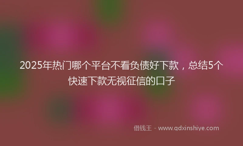2025年热门哪个平台不看负债好下款，总结5个快速下款无视征信的口子