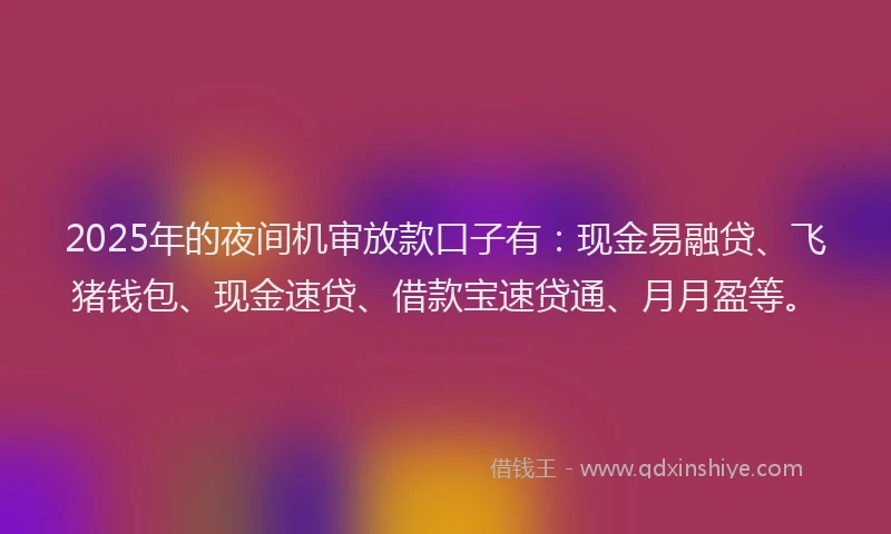 2025年的夜间机审放款口子有：现金易融贷、飞猪钱包、现金速贷、借款宝速贷通、月月盈等。