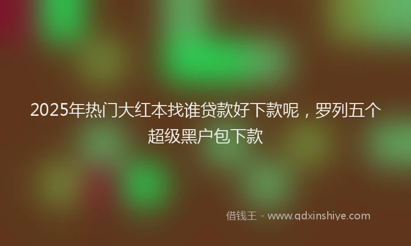 2025年热门大红本找谁贷款好下款呢，罗列五个超级黑户包下款